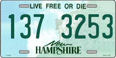 NH license plate 1373253