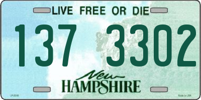 NH license plate 1373302