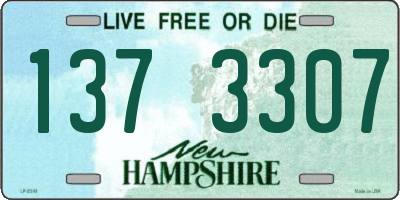 NH license plate 1373307