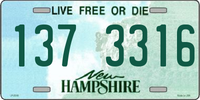 NH license plate 1373316