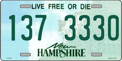 NH license plate 1373330