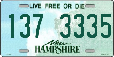 NH license plate 1373335