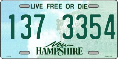 NH license plate 1373354