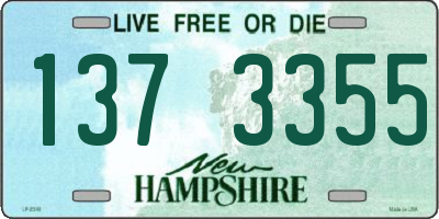 NH license plate 1373355