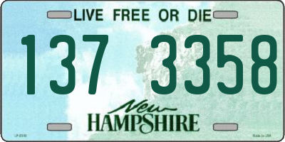 NH license plate 1373358