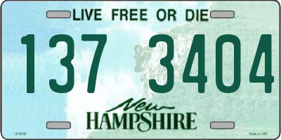 NH license plate 1373404
