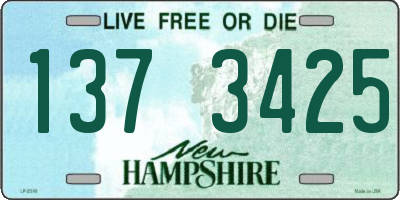 NH license plate 1373425