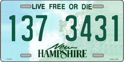 NH license plate 1373431