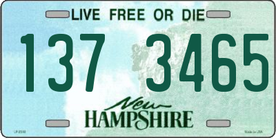 NH license plate 1373465