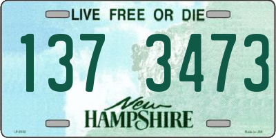 NH license plate 1373473