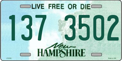 NH license plate 1373502