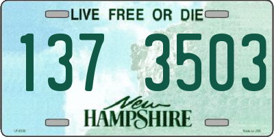 NH license plate 1373503
