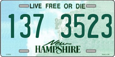 NH license plate 1373523