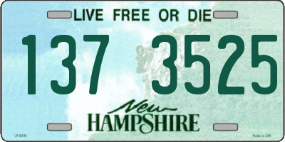 NH license plate 1373525