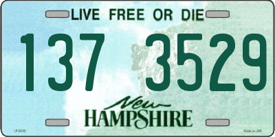NH license plate 1373529