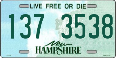 NH license plate 1373538