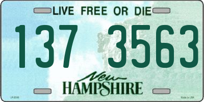 NH license plate 1373563