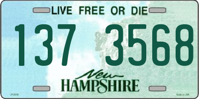 NH license plate 1373568