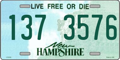 NH license plate 1373576
