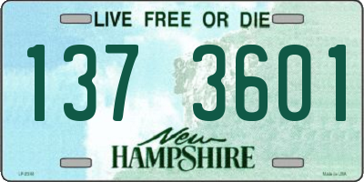 NH license plate 1373601