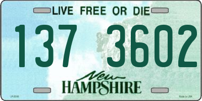 NH license plate 1373602