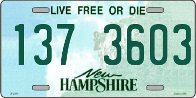 NH license plate 1373603