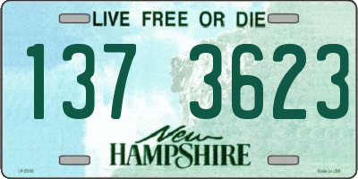 NH license plate 1373623