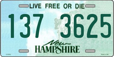 NH license plate 1373625