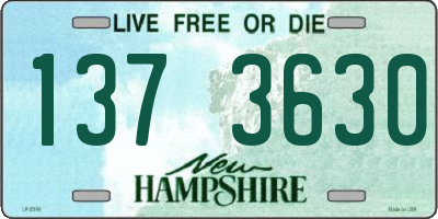NH license plate 1373630