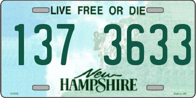NH license plate 1373633