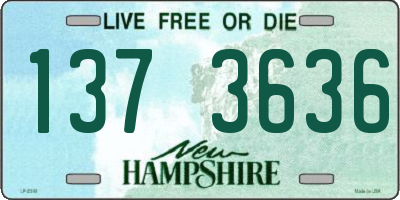 NH license plate 1373636