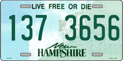 NH license plate 1373656