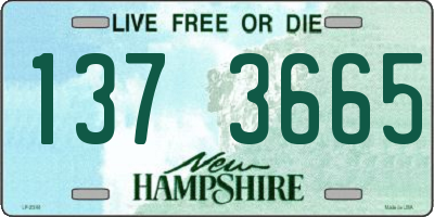 NH license plate 1373665