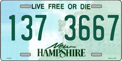 NH license plate 1373667