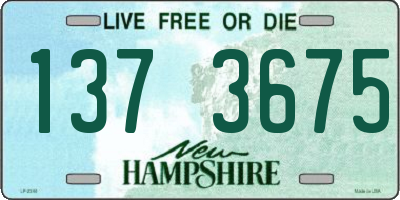 NH license plate 1373675