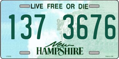 NH license plate 1373676