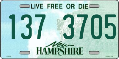 NH license plate 1373705