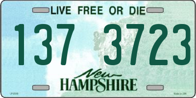NH license plate 1373723
