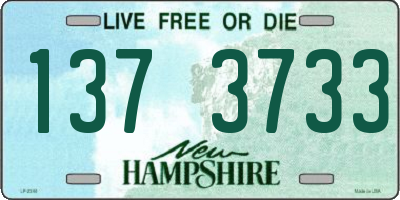 NH license plate 1373733