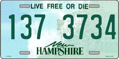 NH license plate 1373734