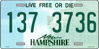 NH license plate 1373736