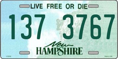 NH license plate 1373767