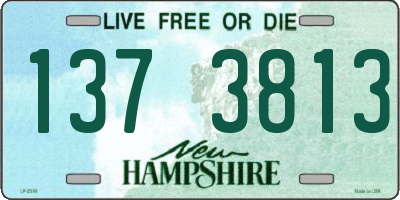NH license plate 1373813