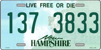 NH license plate 1373833