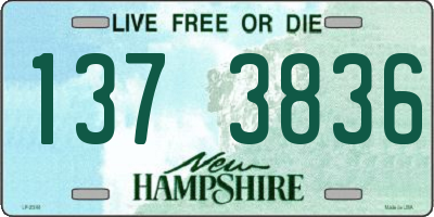 NH license plate 1373836