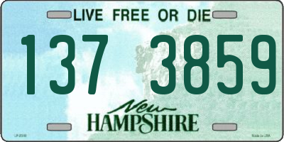 NH license plate 1373859