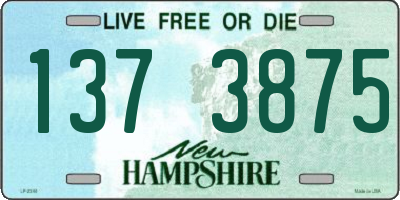 NH license plate 1373875