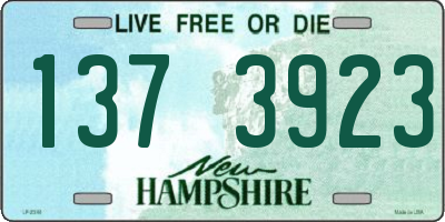 NH license plate 1373923