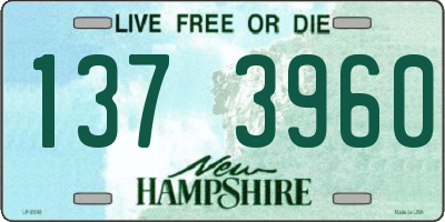 NH license plate 1373960