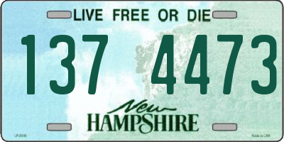 NH license plate 1374473